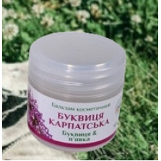 Буквиця карпатська - при варикозному розширенні вен та тромбофлебіті