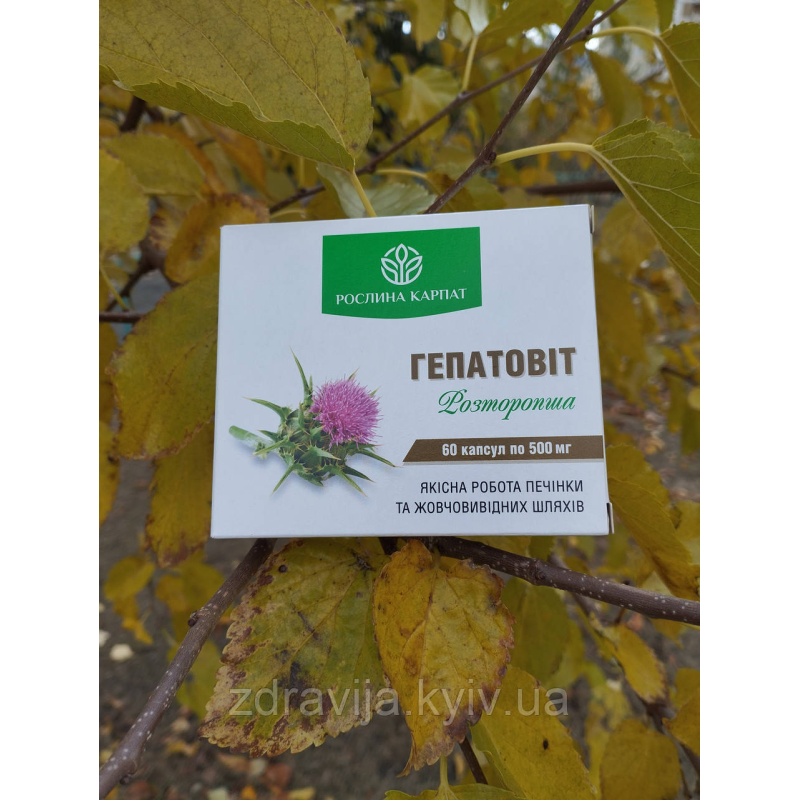 Гепатовіт захист печінки та підшлункової залози