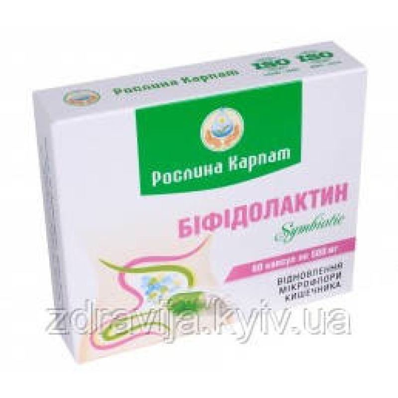 Біфідолактин symbiotic кишківник працює як годинник