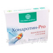 Хондротин-Pro — захист і відновлення суглобів